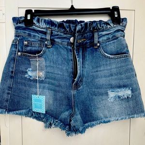 Hayden Los Angeles Ripped Denim Short